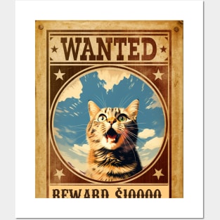 Wanted - Surprised Cat Posters and Art